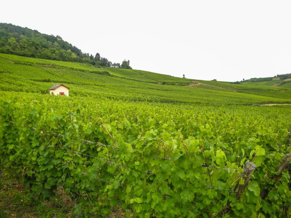 Gite Galerie Le 1892 Au Coeur Du Vignoble Ribeauville  Bagian luar foto