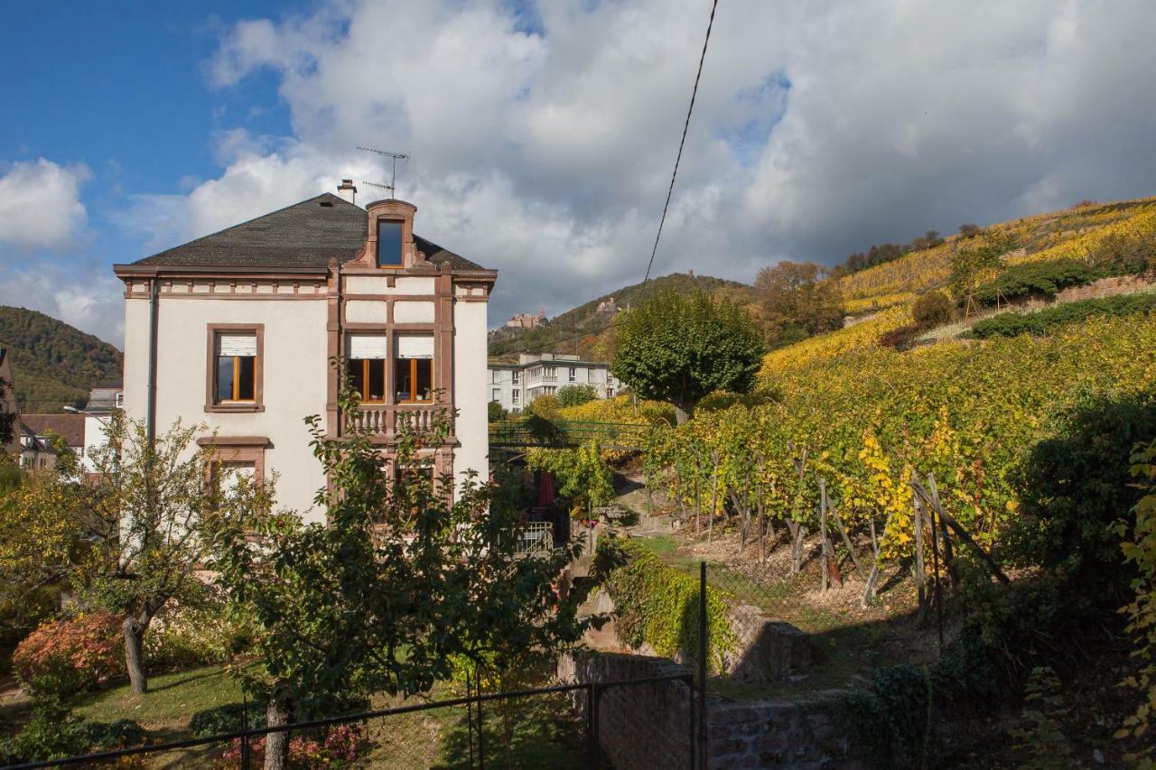 Gite Galerie Le 1892 Au Coeur Du Vignoble Ribeauville  Bagian luar foto